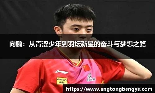 向鹏：从青涩少年到羽坛新星的奋斗与梦想之路