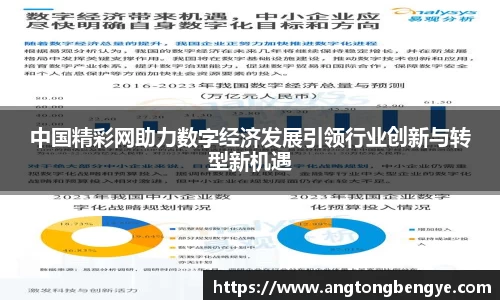 中国精彩网助力数字经济发展引领行业创新与转型新机遇